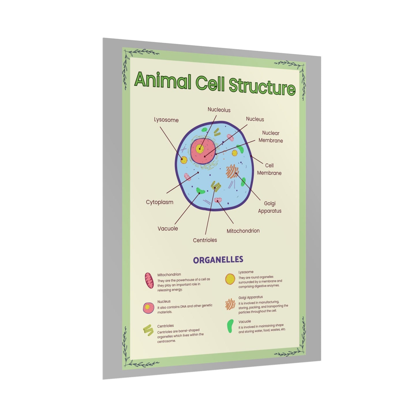 Science Classroom Posters, Botanical Biology & Animal Cell Structure Decor, Teacher Homeschool Educational Prints, Science Wall Art