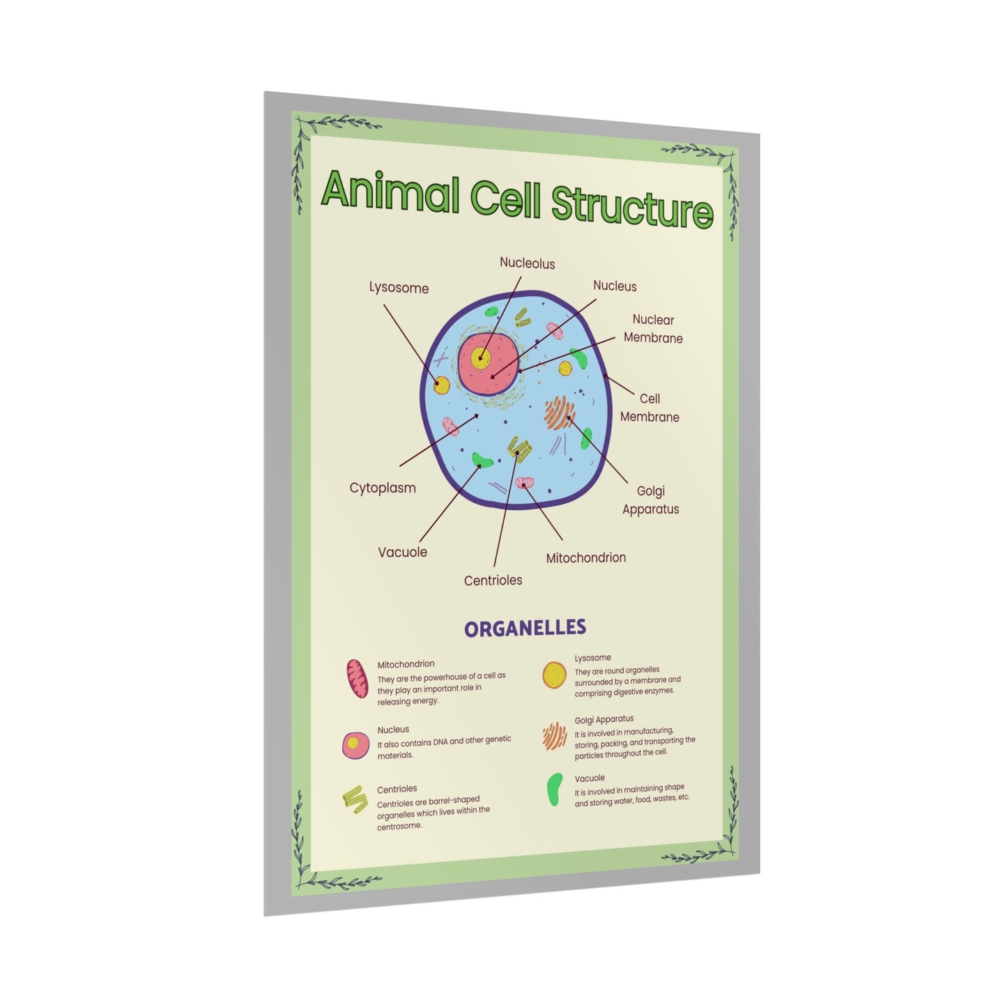 Science Classroom Posters, Botanical Biology & Animal Cell Structure Decor, Teacher Homeschool Educational Prints, Science Wall Art