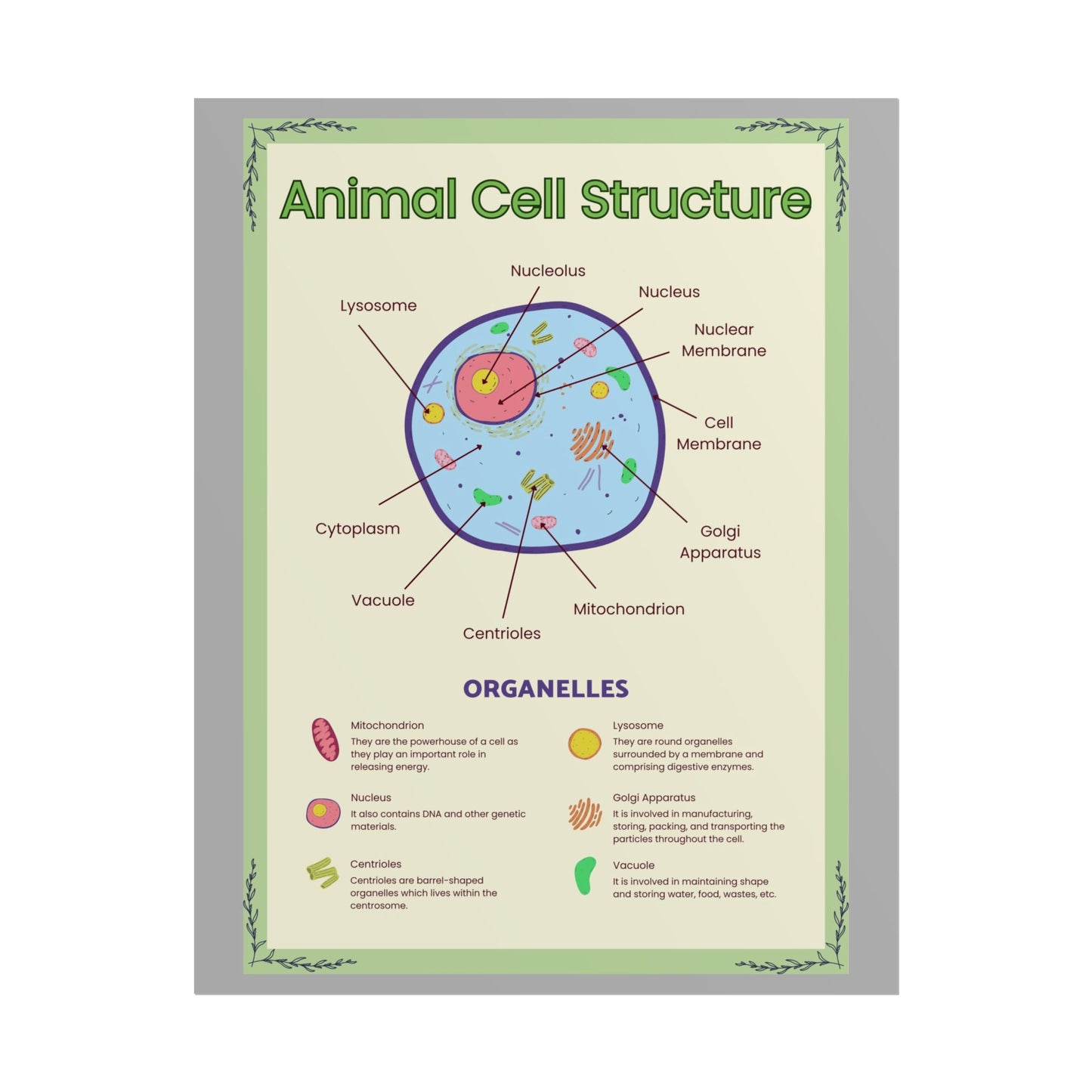 Science Classroom Posters, Botanical Biology & Animal Cell Structure Decor, Teacher Homeschool Educational Prints, Science Wall Art