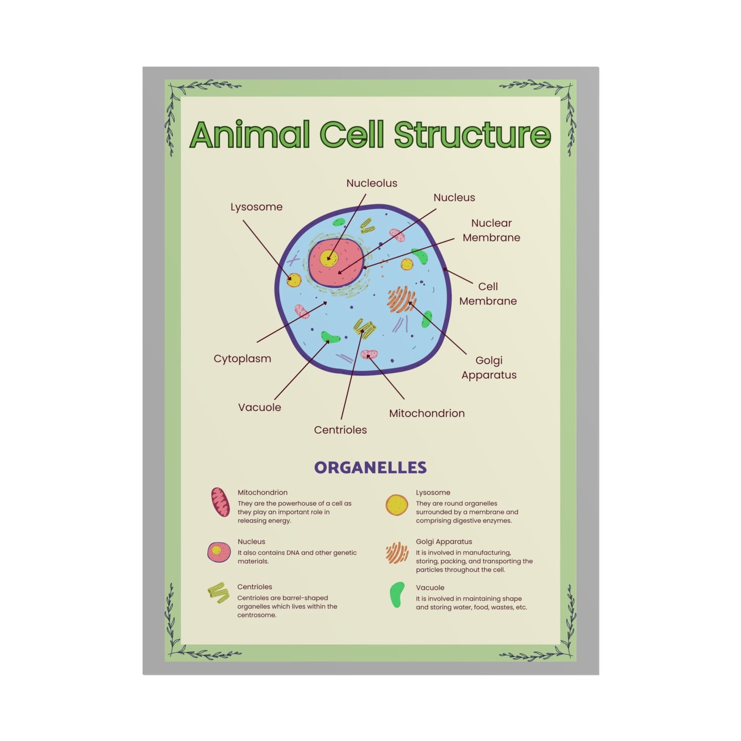 Science Classroom Posters, Botanical Biology & Animal Cell Structure Decor, Teacher Homeschool Educational Prints, Science Wall Art