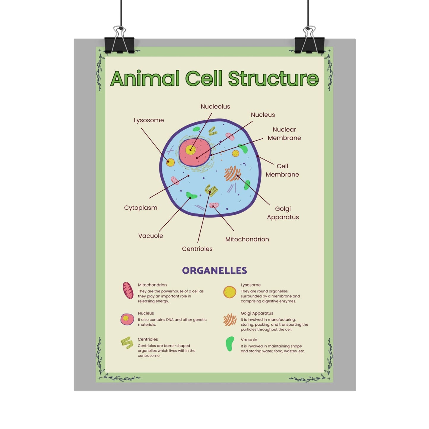 Science Classroom Posters, Botanical Biology & Animal Cell Structure Decor, Teacher Homeschool Educational Prints, Science Wall Art