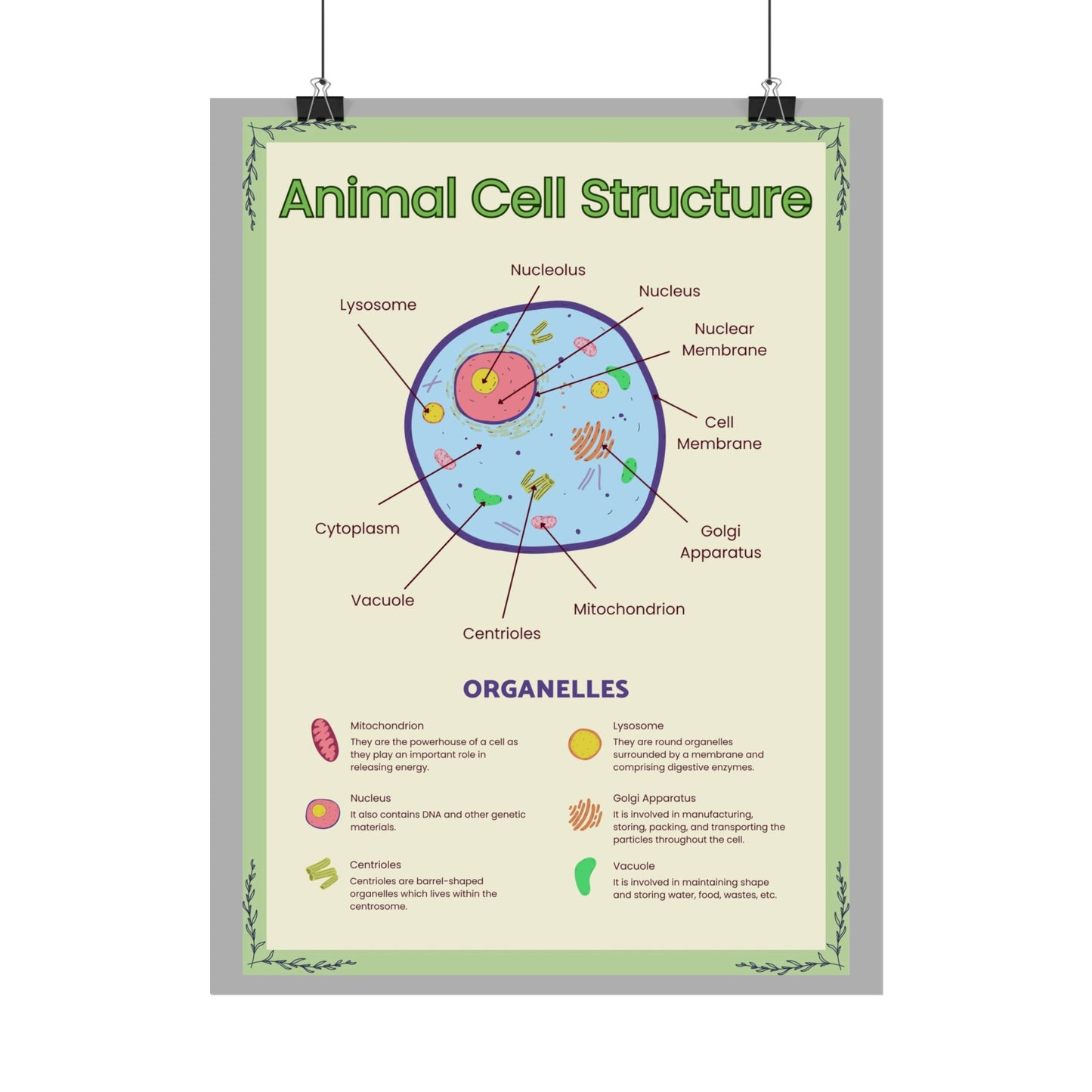 Science Classroom Posters, Botanical Biology & Animal Cell Structure Decor, Teacher Homeschool Educational Prints, Science Wall Art