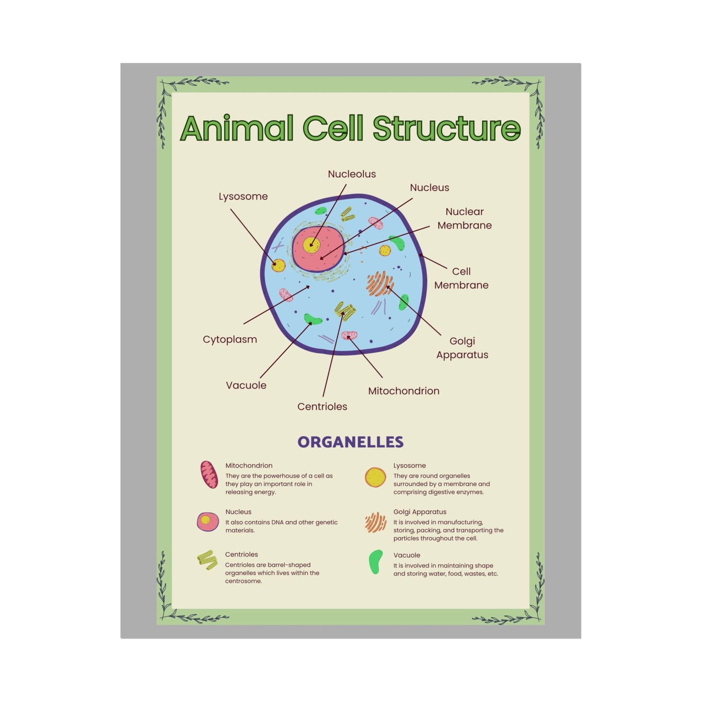 Science Classroom Posters, Botanical Biology & Animal Cell Structure Decor, Teacher Homeschool Educational Prints, Science Wall Art