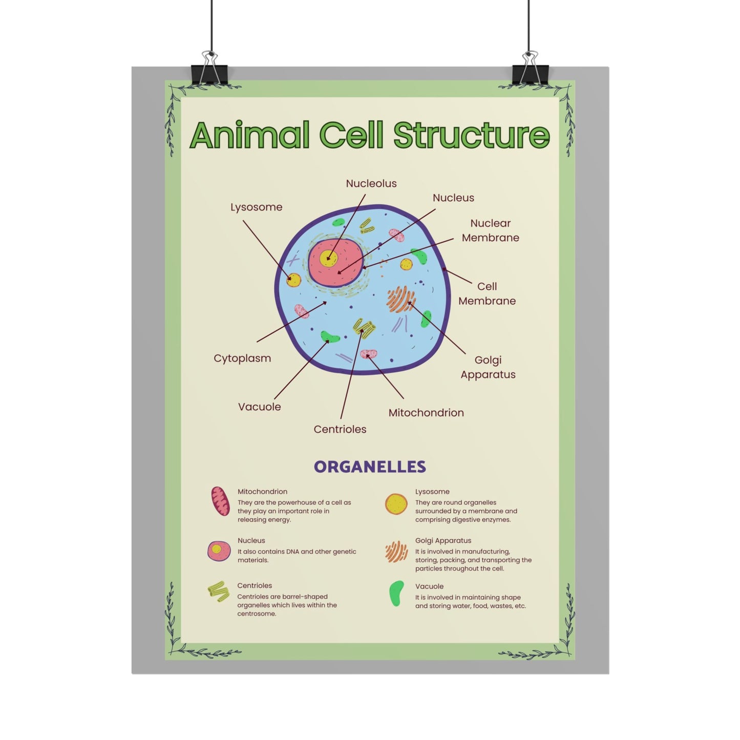 Science Classroom Posters, Botanical Biology & Animal Cell Structure Decor, Teacher Homeschool Educational Prints, Science Wall Art