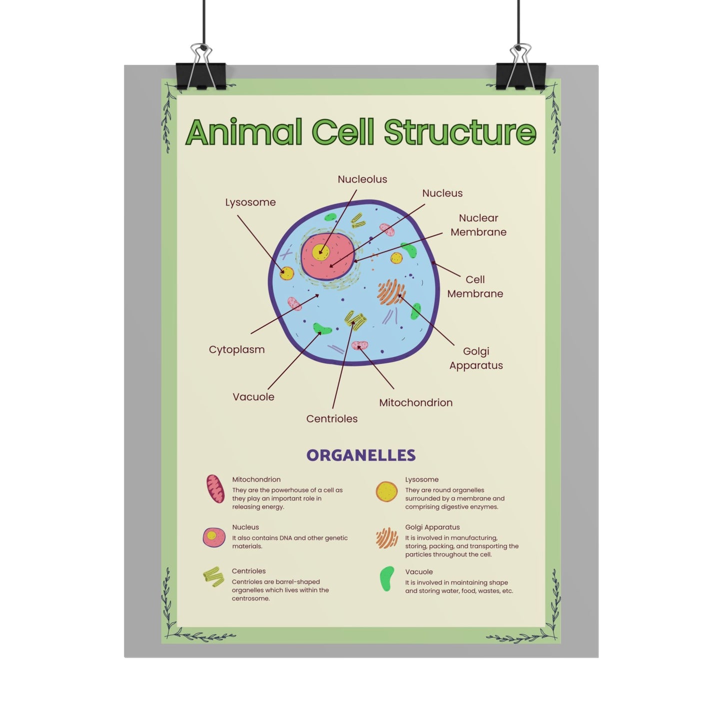 Science Classroom Posters, Botanical Biology & Animal Cell Structure Decor, Teacher Homeschool Educational Prints, Science Wall Art