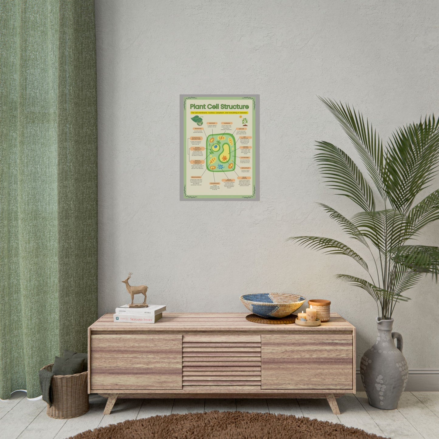 Botanical Biology Rolled Posters, Plant Cell Structure Classroom Wall Decor, Great for Teachers, Homeschool, Educational Prints, Science