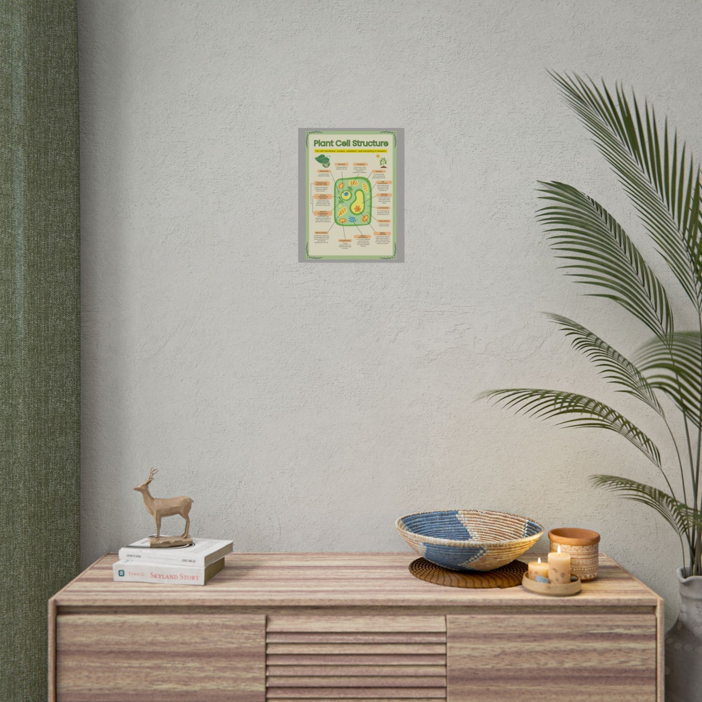 Botanical Biology Rolled Posters, Plant Cell Structure Classroom Wall Decor, Great for Teachers, Homeschool, Educational Prints, Science