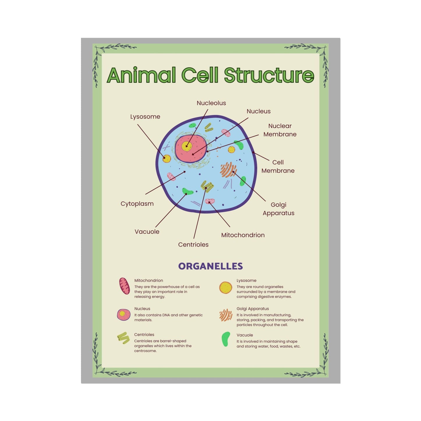 Science Classroom Posters, Botanical Biology & Animal Cell Structure Decor, Teacher Homeschool Educational Prints, Science Wall Art