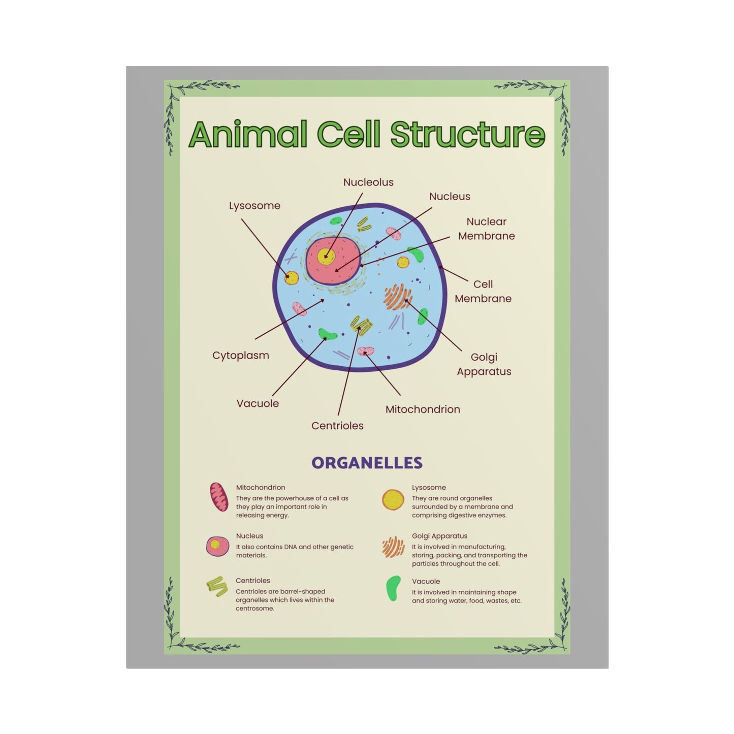 Science Classroom Posters, Botanical Biology & Animal Cell Structure Decor, Teacher Homeschool Educational Prints, Science Wall Art