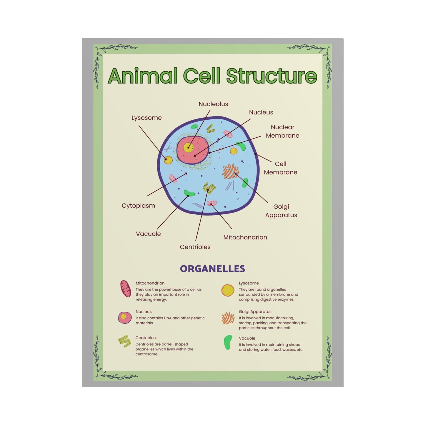 Science Classroom Posters, Botanical Biology & Animal Cell Structure Decor, Teacher Homeschool Educational Prints, Science Wall Art