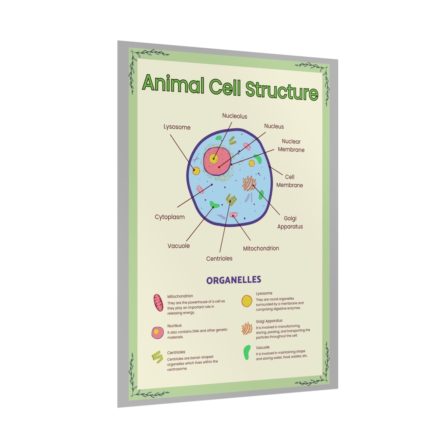 Science Classroom Posters, Botanical Biology & Animal Cell Structure Decor, Teacher Homeschool Educational Prints, Science Wall Art