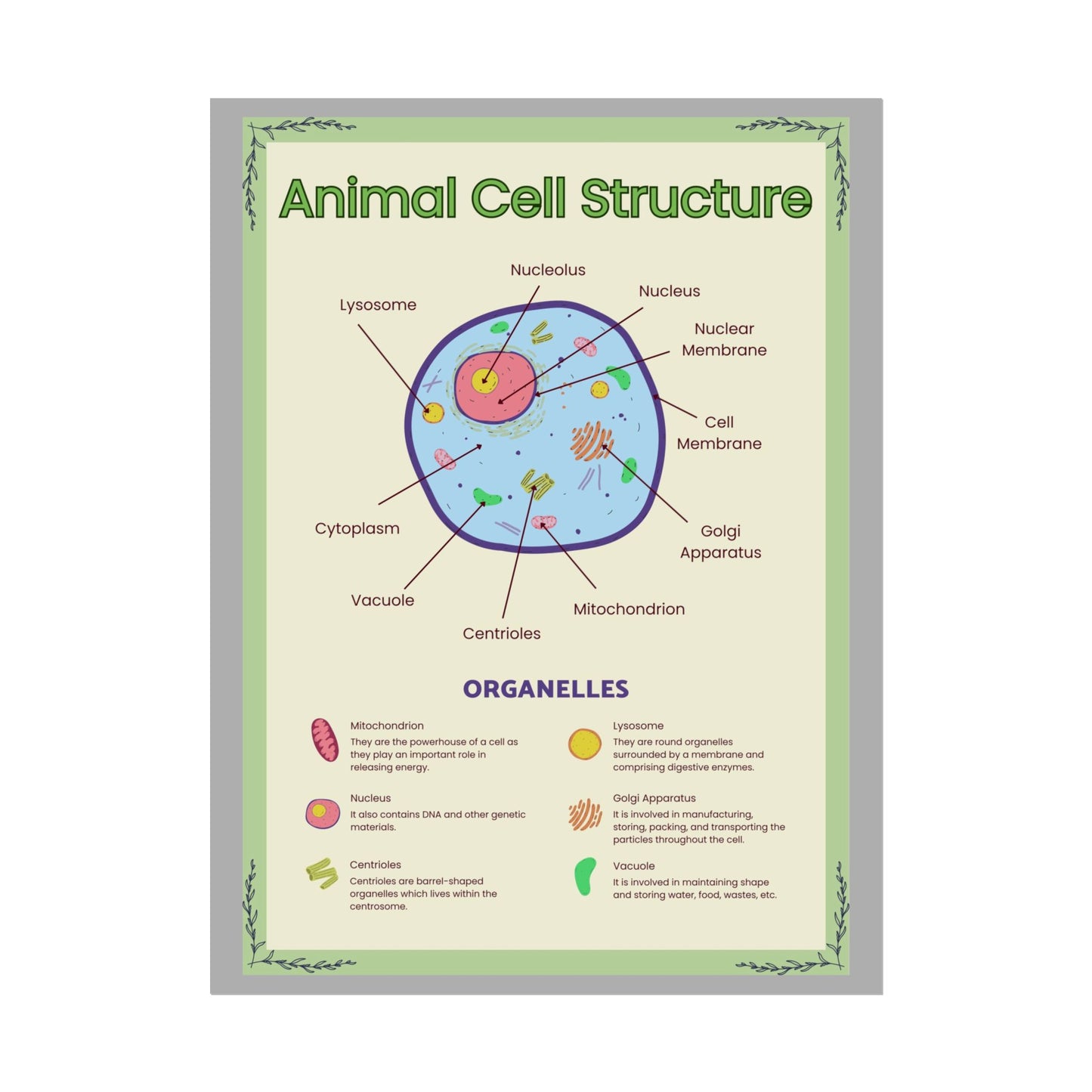 Science Classroom Posters, Botanical Biology & Animal Cell Structure Decor, Teacher Homeschool Educational Prints, Science Wall Art