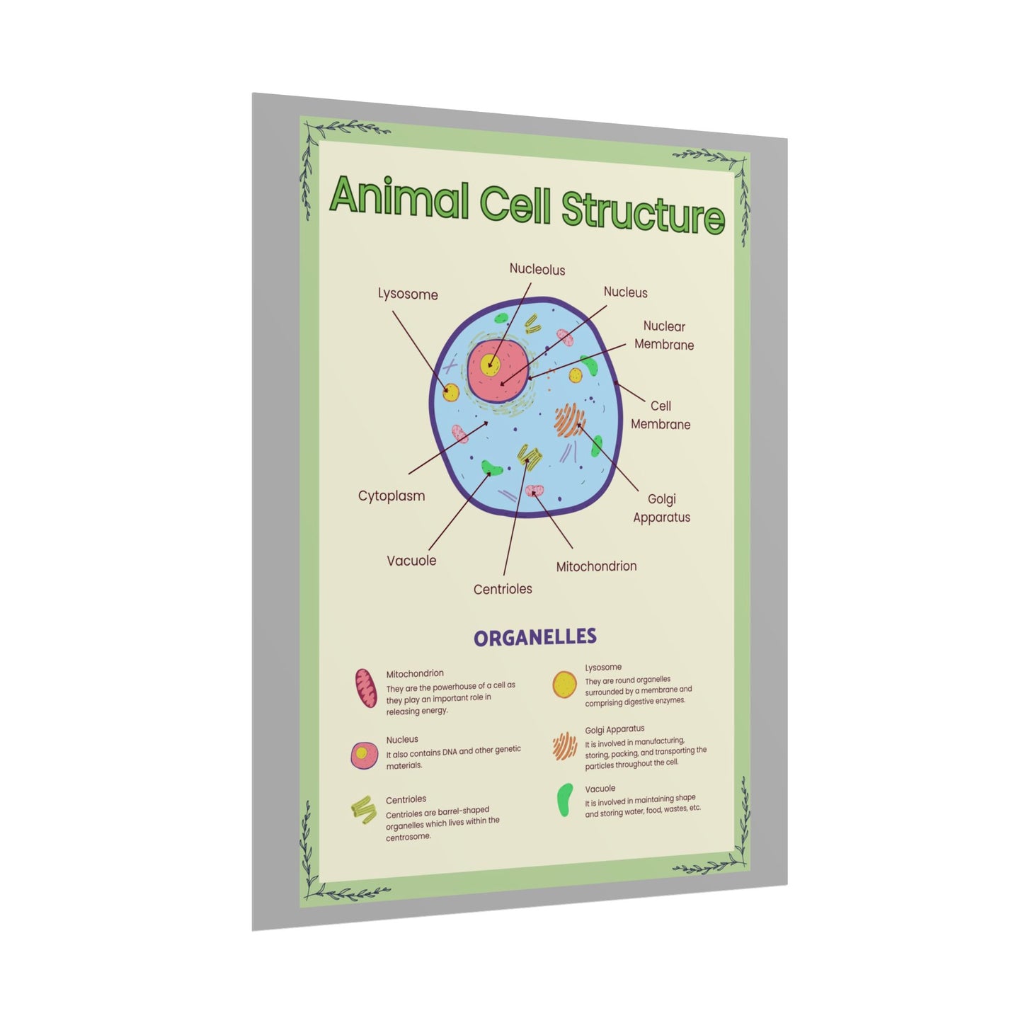 Science Classroom Posters, Botanical Biology & Animal Cell Structure Decor, Teacher Homeschool Educational Prints, Science Wall Art