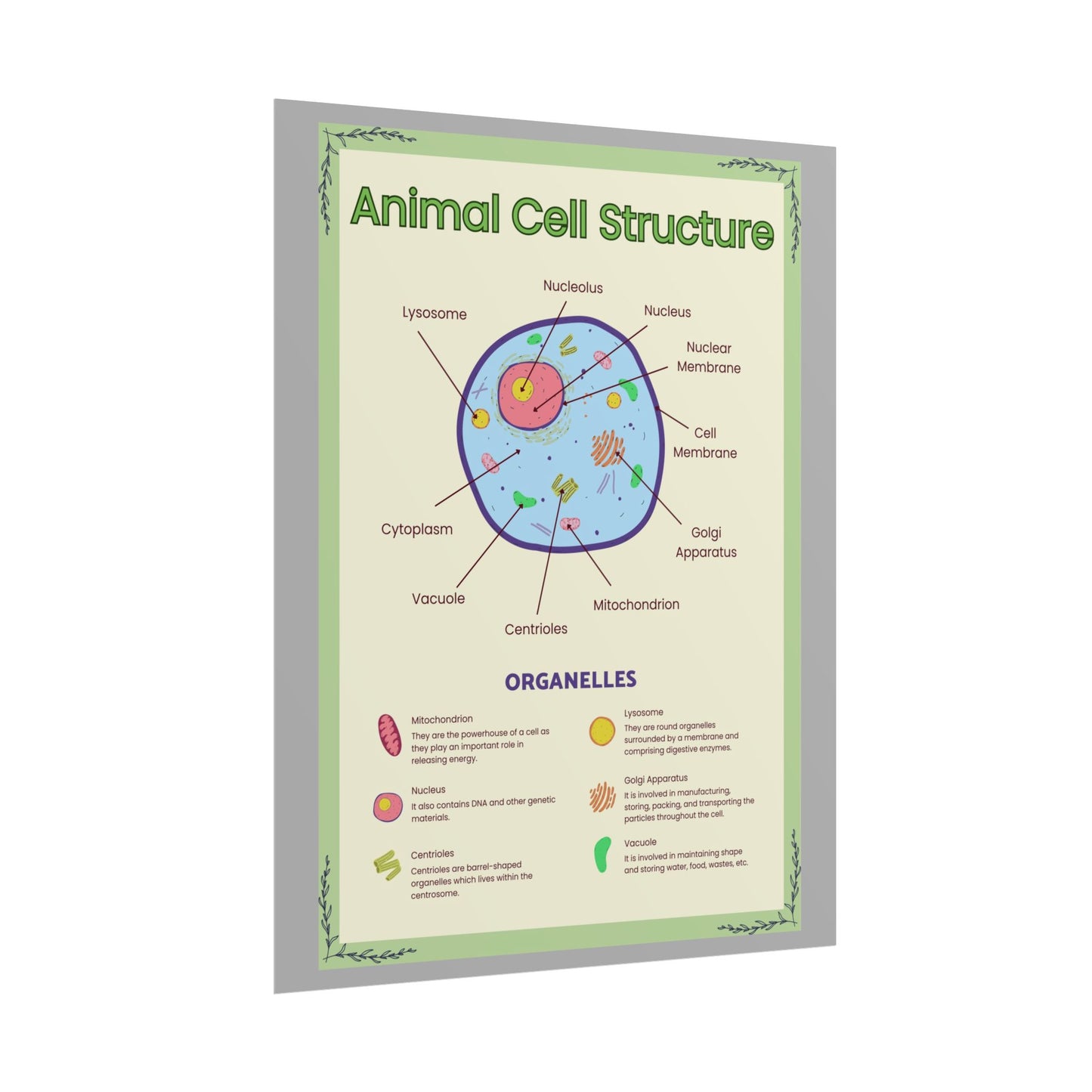 Science Classroom Posters, Botanical Biology & Animal Cell Structure Decor, Teacher Homeschool Educational Prints, Science Wall Art