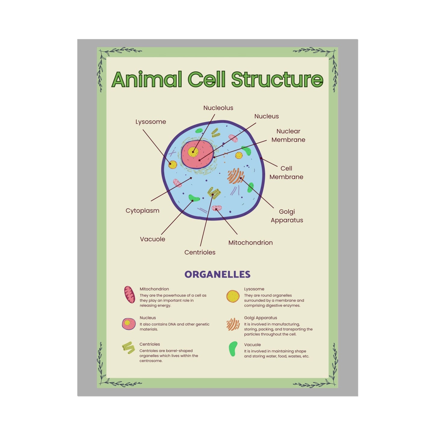 Science Classroom Posters, Botanical Biology & Animal Cell Structure Decor, Teacher Homeschool Educational Prints, Science Wall Art