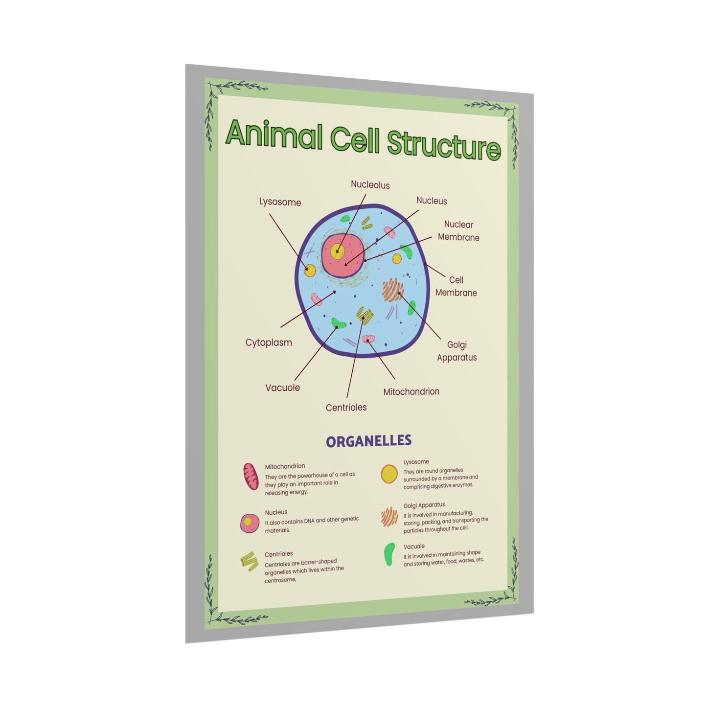 Science Classroom Posters, Botanical Biology & Animal Cell Structure Decor, Teacher Homeschool Educational Prints, Science Wall Art