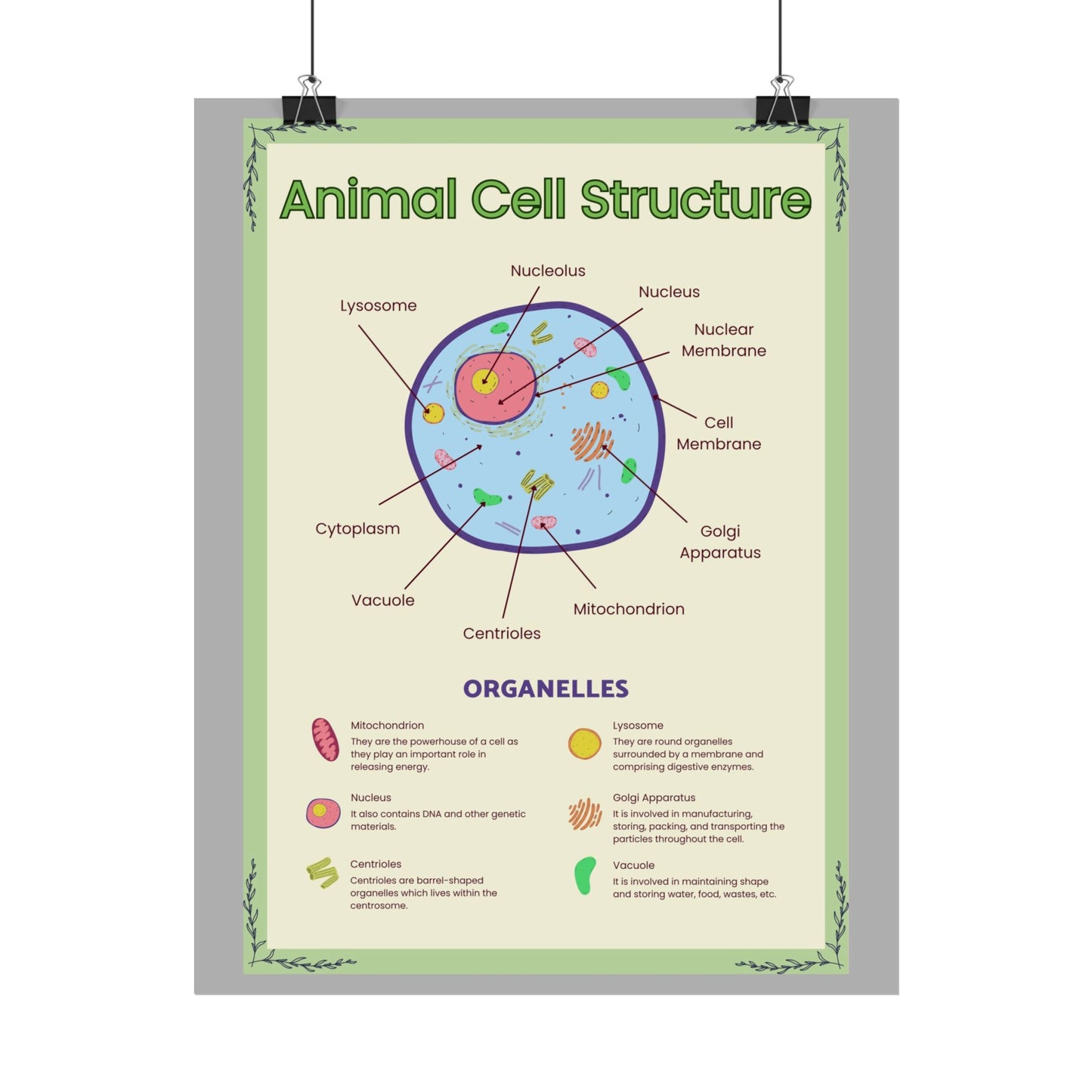 Science Classroom Posters, Botanical Biology & Animal Cell Structure Decor, Teacher Homeschool Educational Prints, Science Wall Art