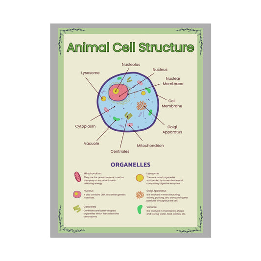 Science Classroom Posters, Botanical Biology & Animal Cell Structure Decor, Teacher Homeschool Educational Prints, Science Wall Art