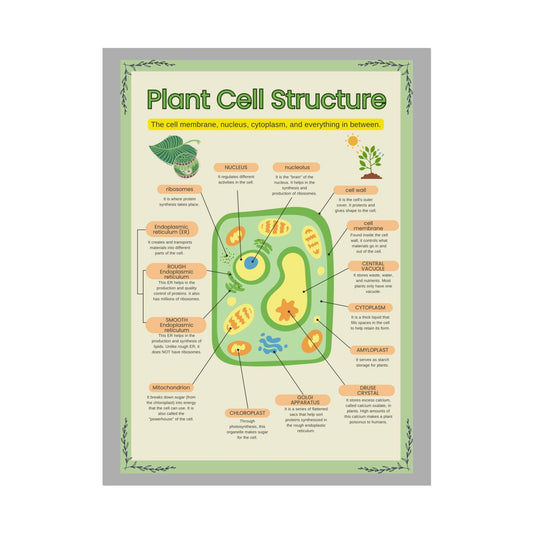 Botanical Biology Rolled Posters, Plant Cell Structure Classroom Wall Decor, Great for Teachers, Homeschool, Educational Prints, Science