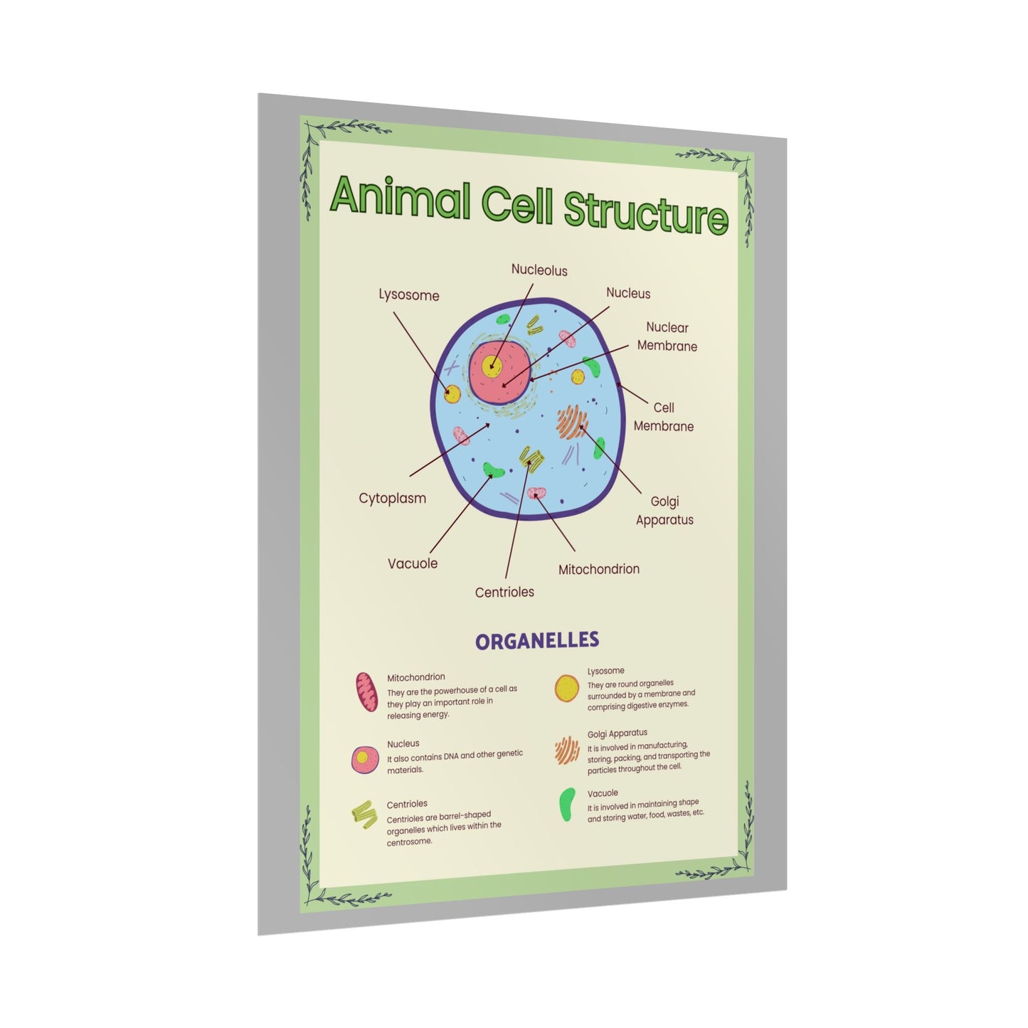 Science Classroom Posters, Botanical Biology & Animal Cell Structure Decor, Teacher Homeschool Educational Prints, Science Wall Art