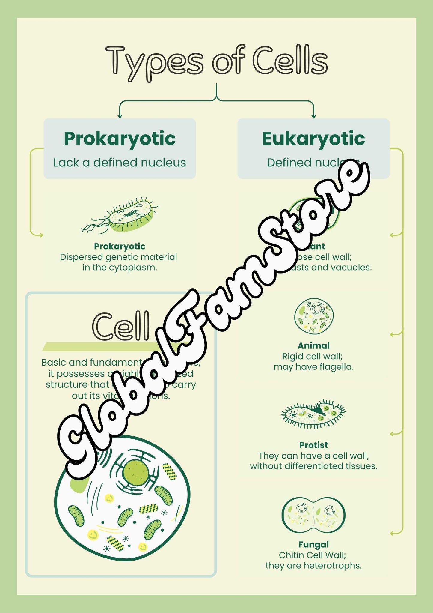 Plant & Animal Cell -Middle and High School Biology Poster